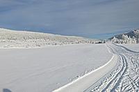 Transju27.12.