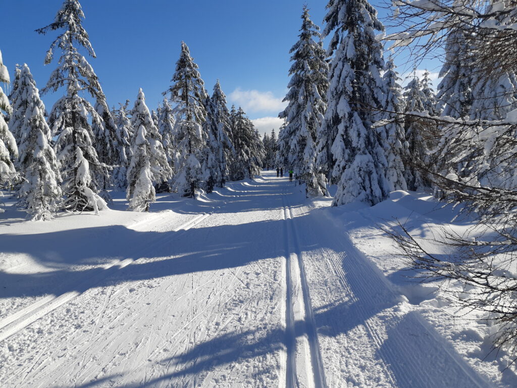 Conditions at Bieg Piastow